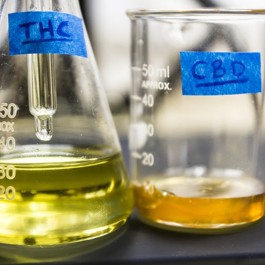 Is CBD legal?